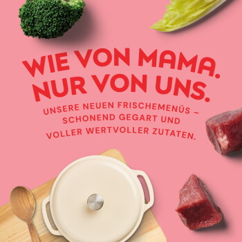 Schüssel mit gemahlenem Fleischfutter für Haustiere mit Brokkoli- und Salatstücken auf rosa Hintergrund, umgeben von rohen Fleischstücken und Brokkoli.
