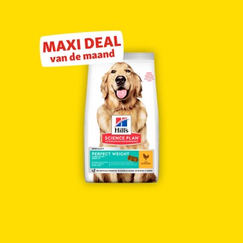 Hill's Science Plan Perfect Weight Hundefutterbeutel mit „MAXI DEAL des Monats“-Banner auf gelbem Hintergrund.