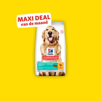 SCIENCE PLAN Perfect Weight Adult Huhn 12 kg Hill's Science Plan Perfect Weight Hundefutterbeutel mit „MAXI DEAL des Monats“-Banner auf gelbem Hintergrund.