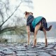 Hundemantel Uppsala Allrounder anthrazit / petrol 50 cm