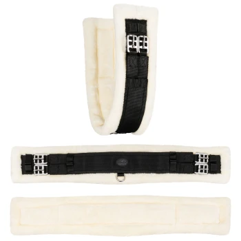 Schwarzes und cremefarbenes gepolstertes Hundegeschirr mit verstellbaren Riemen und Metall-Schnallen, aus mehreren Blickwinkeln dargestellt.