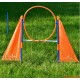 Agility-Trainingsausrüstung für Haustiere mit einem orangefarbenen Reifen und zwei dreieckigen Fahnen auf einem Rasenfeld.