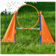Agility-Trainingsausrüstung für Haustiere mit einem orangefarbenen Reifen und zwei dreieckigen Fahnen auf einem Rasenfeld.