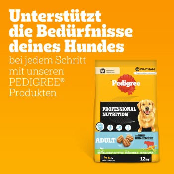 Pedigree Hundefutterbeutel mit einem Golden Retriever, gekennzeichnet mit "Professionelle Ernährung," 12 kg, mit Text, der Unterstützung für die Bedürfnisse von Hunden bewirbt.
