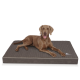 Ein brauner Hund liegt bequem auf einer grauen Haustiermatratze mit einem gesteppten Design, mit einem Logo in der Ecke.