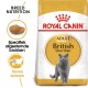 Royal Canin Adult British Shorthair kattenvoerzak met een grijze kat, met nadruk op voeding voor het ras en unieke brokvorm.