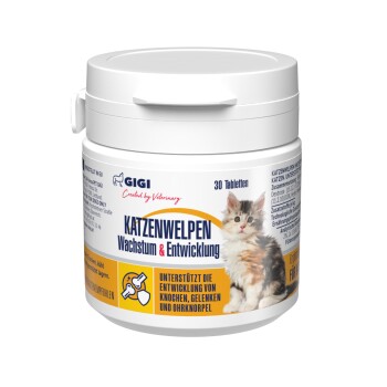 Katzenwelpen Wachstum & Entwicklung