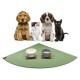 Eine Gruppe von vier Haustieren, darunter zwei Hunde, eine Katze und ein schwarzes Kätzchen, sitzt auf einer grünen Fressmatte mit zwei stilvollen Futternäpfen.