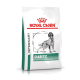 Royal Canin Veterinary Diabetic Hundefutterbeutel mit einer schwarz-weißen Illustration eines Hundes, mit einem roten Kronenlogo.