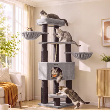 Grauer mehrstöckiger Kratzbaum mit fünf Katzen in einem sonnenbeschienenen Wohnzimmer; kleines Markenetikett am Häuschen.