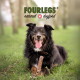 Schwarzer langhaariger Hund liegt im Gras mit einem Kauknochen, die Zunge herausgestreckt; Hintergrundtext 'FOURLEGS natural dogfood' mit Herz