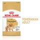 Sac de nourriture pour chiens Royal Canin Pomeranian Adult avec une illustration de Pomeranian duveteux et un texte sur les bienfaits nutritionnels.