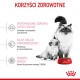 Obraz przedstawia matkę kota i jej kocię obok miski z jedzeniem Royal Canin, z tekstem podkreślającym korzyści zdrowotne w języku polskim.
