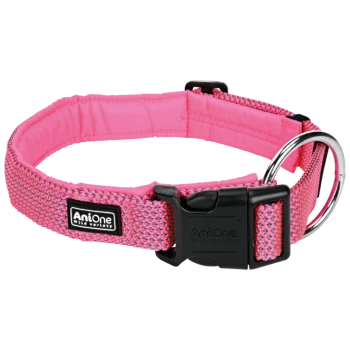 Rosa Haustierhalsband mit gepolstertem Innenraum, ausgestattet mit einer schwarzen Schnalle und einem metallenen D-Ring, beschriftet mit "AniOne Wild Variety."