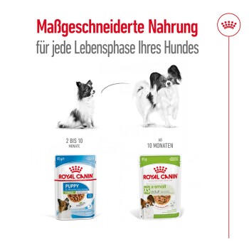 Royal Canin Hundefutterverpackung für Welpen und kleine Erwachsene, mit Text, der maßgeschneiderte Ernährung für verschiedene Lebensphasen angibt.