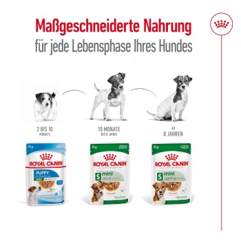 Royal Canin Haustierfutterverpackung für verschiedene Lebensphasen von Hunden: Welpe (2-10 Monate), Mini-Erwachsener (10 Monate-8 Jahre) und Senioren (8 Jahre+).