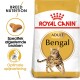 Royal Canin Adult Bengal kattenvoer zak met een illustratie van een Bengal kat, met tekst die de voedingsbehoeften van het ras en optimale spijsvertering benadrukt.