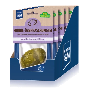 NUTRI QM Displaybox des 'HUNDE-ÜBERRASCHUNGSEI' Hundesnacks, 'Vegetarisch mit Dinkel', zeigt ein grünes, strukturiertes Ei