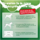 Een instructieve afbeelding over het bepalen van de juiste bedmaat voor honden, met een diagram van een hond en stappen voor metingen, met tekst in het Duits.