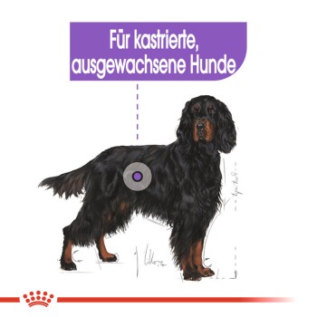 Illustration eines Gordon Setter Hundes mit dem Text "Für kastrierte, ausgewachsene Hunde" darüber, was darauf hinweist, dass es für kastrierte erwachsene Hunde gedacht ist.