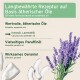 Produktetikett für eine ätherische Öl-Mischung mit Kokosnuss, Lavendel, Paraffinöl und Geraniol.