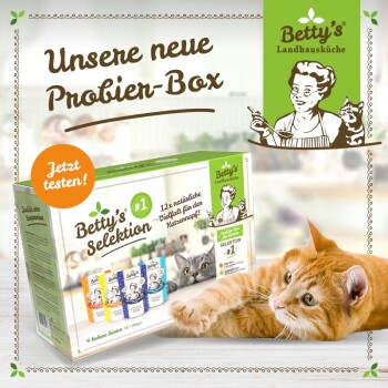 Betty's Selektion Probier-Box mit 12 natürlichen Katzenfuttervarianten, mit einer verspielten orangefarbenen Katze im Vordergrund. Text lautet "Jetzt testen!"