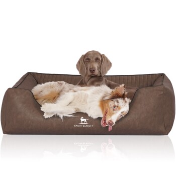 Ein bequemes braunes Hundebett mit einem verspielten Australian Shepherd, der darauf liegt, mit dem Logo "KNUFFELWUFFF" deutlich sichtbar.