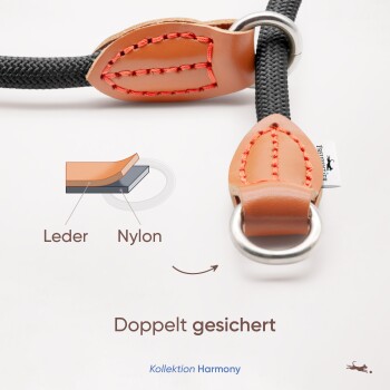 Nahaufnahme einer geflochtenen schwarzen Nylon-Hundeleine mit Lederakzenten, mit "Doppelt gesichert" und einem Materialvergleichsdiagramm.