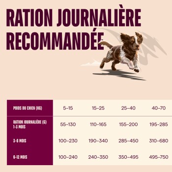 Illustration d'un chiot courant avec le titre « Ration journalière recommandée » et un tableau d'alimentation (poids du chien, rations)