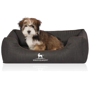 Flauschiger braun-weißer Welpe sitzt in einem dunkelgrauen Hundebett mit KNUFFELWUFF-Logo.