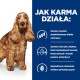 Złoty cocker spaniel stoi obok niebieskiego tła z tekstem o korzyściach karmy dla zwierząt, takich jak hydrolizowane białko i omega 3-6.
