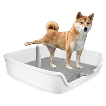 Hellbrauner Shiba Inu steht mit einem Hinterbein angehoben in einer weißen Plastik-Toilette für Hunde mit grauem Gitter und zentralem Pfosten.