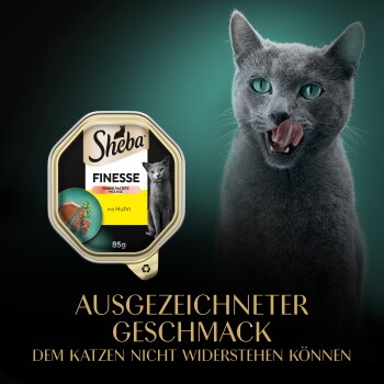 Graue Katze leckt sich die Lippen neben einer Sheba FINESSE 85 g (mit Huhn) Katzenfutterschale; sichtbarer Text: AUSGEZEICHNETER GESCHMACK.