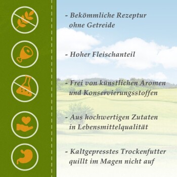 Tierfutterverpackung, die wichtige Merkmale zeigt: getreidefrei, hoher Fleischanteil, keine künstlichen Zusatzstoffe, hochwertige Zutaten, kaltgepresst.