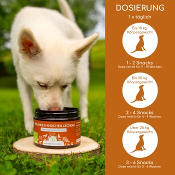 Ein weißer Hund schnüffelt an einem schwarzen Glas mit der Aufschrift "Gelenke & Knochen Leckerli" auf einem Holzscheit, mit Dosierungsanweisungen für verschiedene Hundew weights.