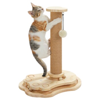 Calico-Kätzchen klettert an einem hölzernen Kratzbaum mit einem hängenden Pompon-Spielzeug auf einer pfotenförmigen Basis.