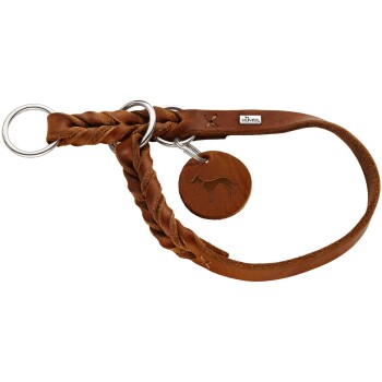 Dressurhalsung Solid Education cognac 35 cm