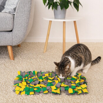 Getigert-weiße Katze schnuppert an einer grün-gelb-grauen Schnüffelmatte auf beigem Teppich neben einem Sofa und einem Beistelltisch mit Pflanze.