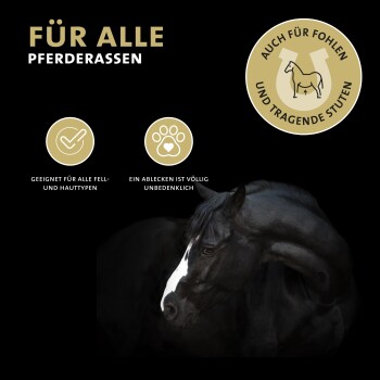 Schwarzes Pferd mit einer weißen Blesse im Gesicht, begleitet von Text, der "Für alle Pferderassen" und wichtige Vorteile für die Pferdepflege angibt.