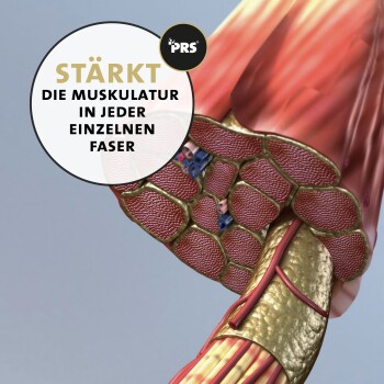 Illustration von Muskelfasern mit dem Text "STÄRKT DIE MUSKULATUR IN JEDER EINZELNEN FASER," der die Muskelkraft betont.