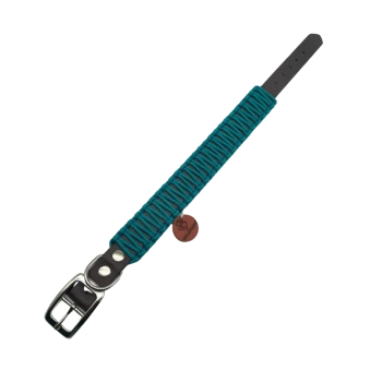 Teal-gewebtes Haustierhalsband mit einer silbernen Schnalle und einem braunen Anhänger mit einem Logo.