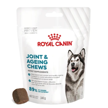 Suplementy na Stawy i Starzenie się Przysmaki do Żucia 240 g Royal Canin Joint & Ageing Chews dla dorosłych psów, torba 240g, z ciemnym kawałkiem do żucia i tekstem podkreślającym korzyści oraz wskaźnik satysfakcji.