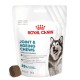 Royal Canin Joint & Ageing Chews pour chiens adultes, sac de 240g, avec un morceau à mâcher foncé et du texte mettant en avant les avantages et le taux de satisfaction.
