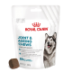 Royal Canin Gelenk- & Alterskausnacks für erwachsene Hunde, 240g Beutel, mit einem dunklen Kausnack und Text, der Vorteile und Zufriedenheitsrate hervorhebt.