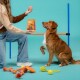 Une femme est à genoux sur un fond teal, tenant un paquet de friandises pour chiens Edgar Cooper Bonbons tandis qu'un golden retriever s'assoit attentivement à ses côtés.
