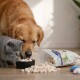 Golden Retriever und graue Katze fressen kleine weiße Würfel-Leckerlis aus einer schwarzen Schale, daneben eine verschüttete, wiederverschließbare Tüte mit Produktetikett