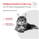 Getigerte Katze mit der deutschen Überschrift „Maßgeschneiderte Nahrung“ und Häkchen: „Auflösung von Struvit“, „Erhalt des Idealgewichts“.