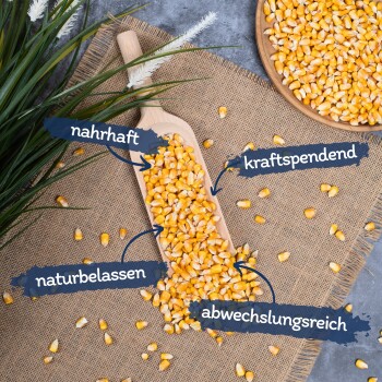 Eine Holzschüssel voller gelber Maiskörner steht auf einem Geländer, umgeben von Grün, mit dem Text "Ganzjahresfütterung" in einem blauen Kreis darüber.