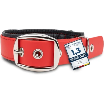 Rotes und schwarzes Hundehalsband mit einer silbernen Schnalle, das ein Zertifizierungsschild trägt, das "1,3 SEHR GUT" und Produktdetails anzeigt.
