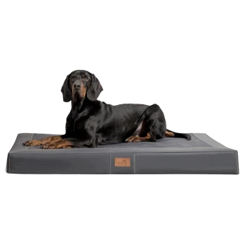 Ein schwarz-brauner Hund, der bequem auf einem großen, grauen Haustierbett mit einem Lederetikett liegt, auf dem "Pet Brand" steht.